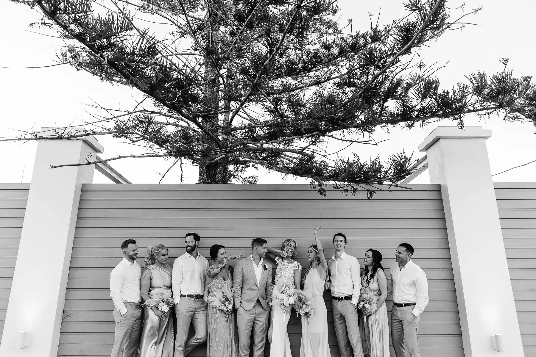 Bridal party celebrating on a staircase under a pine tree, black and white